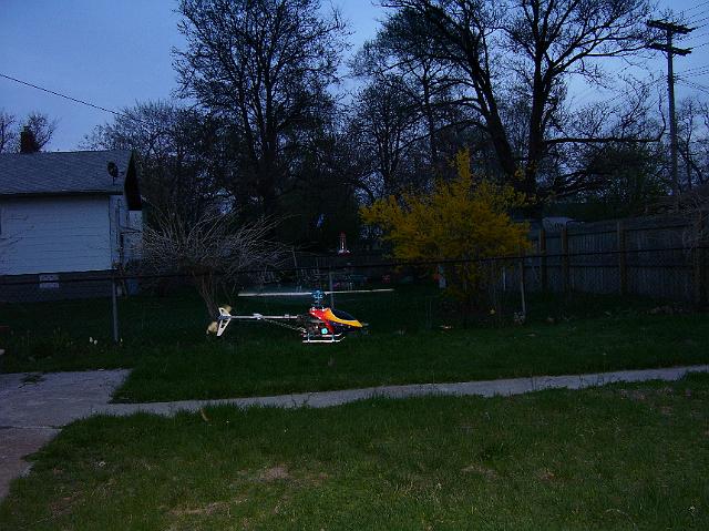 NewCanopy 003.jpg